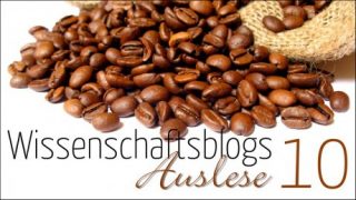 Blogauslese 2010